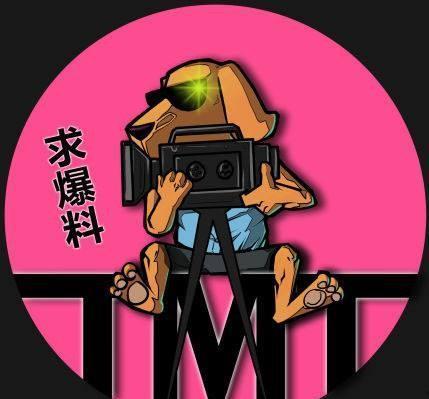 娱乐吃瓜君粉丝数,揭秘网红成长之路