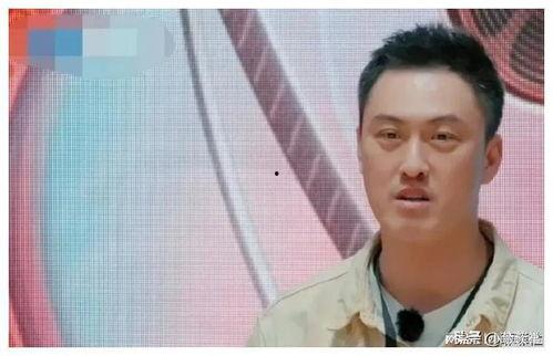 娱乐圈吃瓜爆料在哪里看,揭秘吃瓜圣地，一网打尽热门八卦！